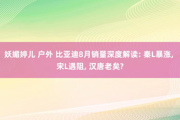 妖媚婷儿 户外 比亚迪8月销量深度解读: 秦L暴涨， 宋L遇阻， 汉唐老矣?