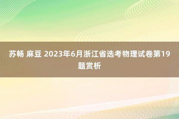 苏畅 麻豆 2023年6月浙江省选考物理试卷第19题赏析