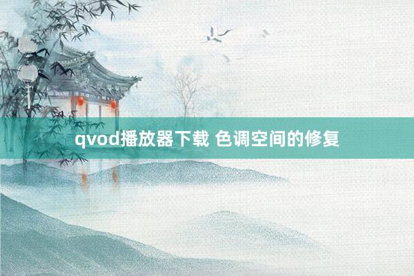 qvod播放器下载 色调空间的修复