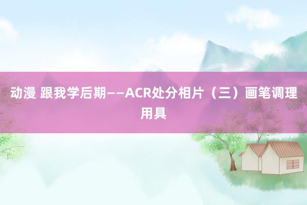 动漫 跟我学后期——ACR处分相片（三）画笔调理用具