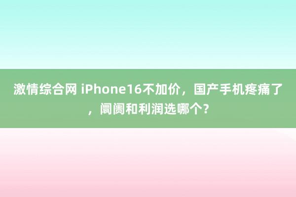 激情综合网 iPhone16不加价，国产手机疼痛了，阛阓和利润选哪个？