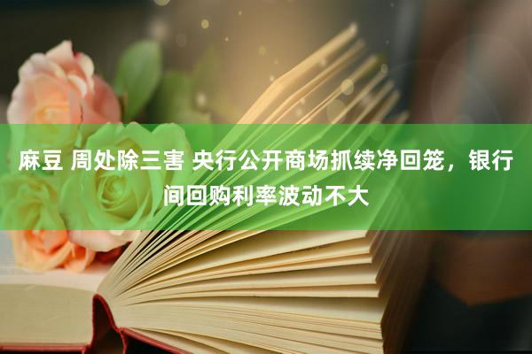 麻豆 周处除三害 央行公开商场抓续净回笼，银行间回购利率波动不大