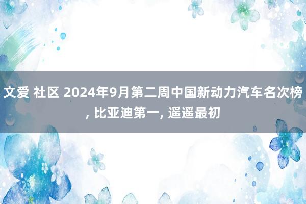 文爱 社区 2024年9月第二周中国新动力汽车名次榜， 比亚迪第一， 遥遥最初