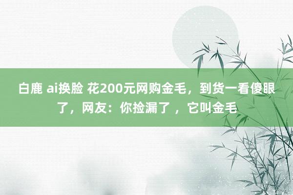 白鹿 ai换脸 花200元网购金毛，到货一看傻眼了，网友：你捡漏了 ，它叫金毛