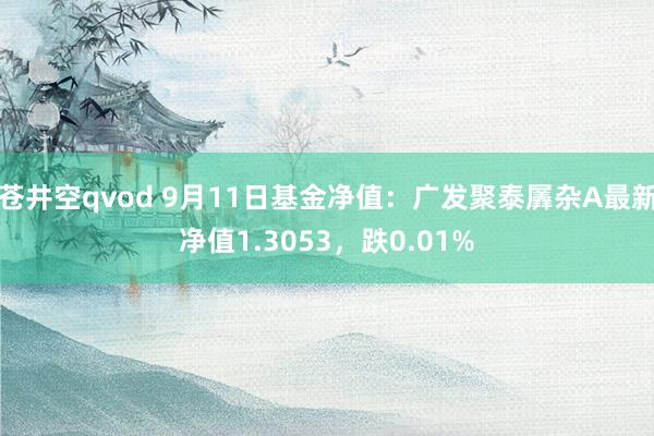 苍井空qvod 9月11日基金净值：广发聚泰羼杂A最新净值1.3053，跌0.01%