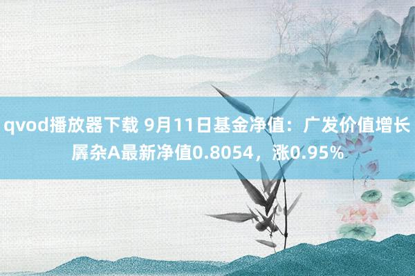 qvod播放器下载 9月11日基金净值：广发价值增长羼杂A最新净值0.8054，涨0.95%