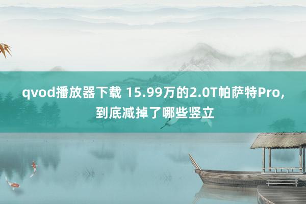 qvod播放器下载 15.99万的2.0T帕萨特Pro， 到底减掉了哪些竖立