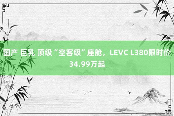 国产 巨乳 顶级“空客级”座舱，LEVC L380限时价34.99万起