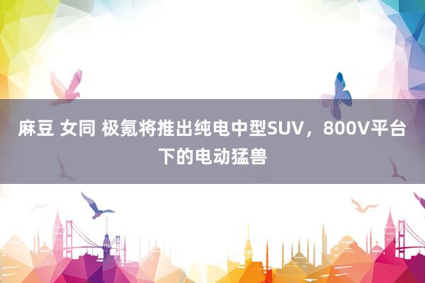 麻豆 女同 极氪将推出纯电中型SUV，800V平台下的电动猛兽