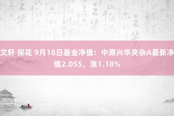 文轩 探花 9月18日基金净值：中原兴华夹杂A最新净值2.055，涨1.18%