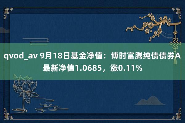 qvod_av 9月18日基金净值：博时富腾纯债债券A最新净值1.0685，涨0.11%