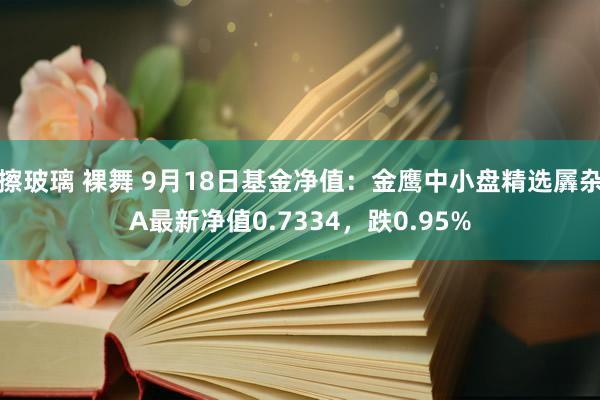 擦玻璃 裸舞 9月18日基金净值：金鹰中小盘精选羼杂A最新净值0.7334，跌0.95%