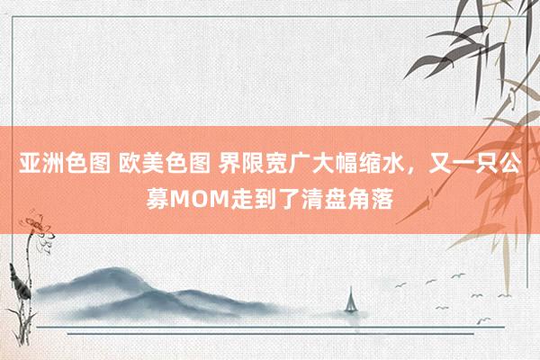 亚洲色图 欧美色图 界限宽广大幅缩水，又一只公募MOM走到了清盘角落