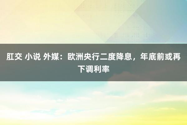 肛交 小说 外媒：欧洲央行二度降息，年底前或再下调利率