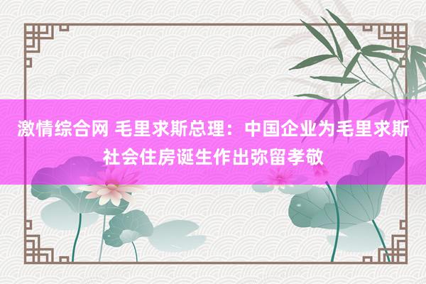 激情综合网 毛里求斯总理：中国企业为毛里求斯社会住房诞生作出弥留孝敬