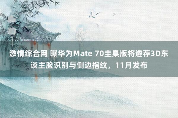 激情综合网 曝华为Mate 70圭臬版将遴荐3D东谈主脸识别与侧边指纹，11月发布