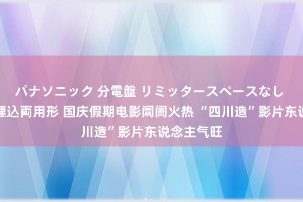 パナソニック 分電盤 リミッタースペースなし 露出・半埋込両用形 国庆假期电影阛阓火热 “四川造”影片东说念主气旺