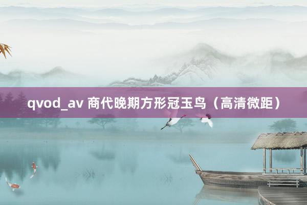 qvod_av 商代晚期方形冠玉鸟（高清微距）