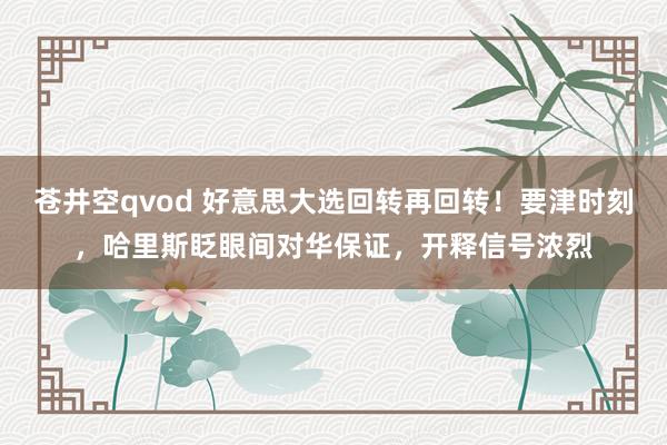 苍井空qvod 好意思大选回转再回转！要津时刻，哈里斯眨眼间对华保证，开释信号浓烈