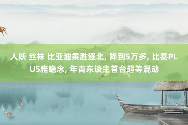 人妖 丝袜 比亚迪乘胜逐北， 降到5万多， 比秦PLUS雅瞻念， 年青东谈主首台超等混动