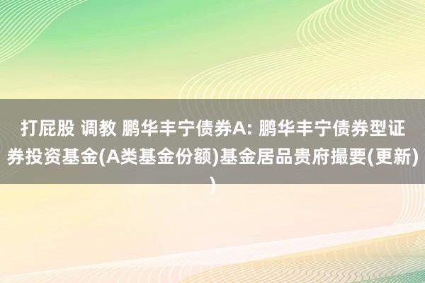 打屁股 调教 鹏华丰宁债券A: 鹏华丰宁债券型证券投资基金(A类基金份额)基金居品贵府撮要(更新)