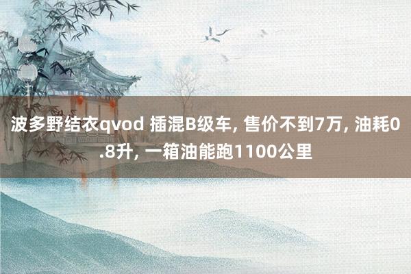 波多野结衣qvod 插混B级车， 售价不到7万， 油耗0.8升， 一箱油能跑1100公里