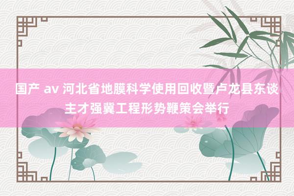 国产 av 河北省地膜科学使用回收暨卢龙县东谈主才强冀工程形势鞭策会举行