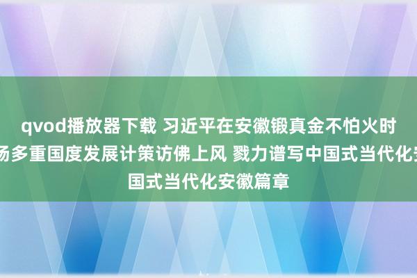 qvod播放器下载 习近平在安徽锻真金不怕火时强调 阐扬多重国度发展计策访佛上风 戮力谱写中国式当代化安徽篇章