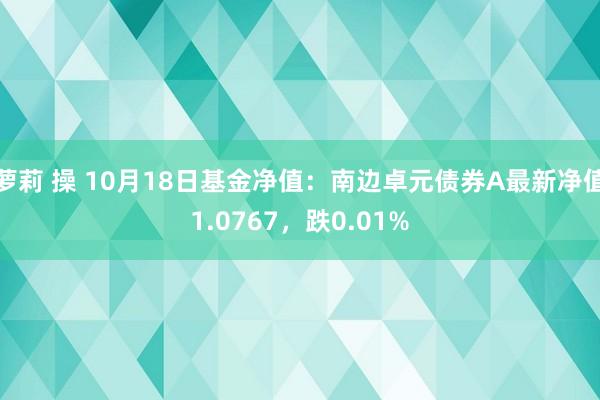 萝莉 操 10月18日基金净值：南边卓元债券A最新净值1.0767，跌0.01%