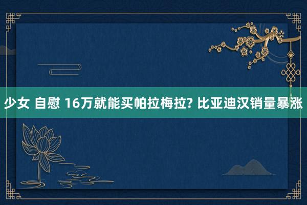 少女 自慰 16万就能买帕拉梅拉? 比亚迪汉销量暴涨