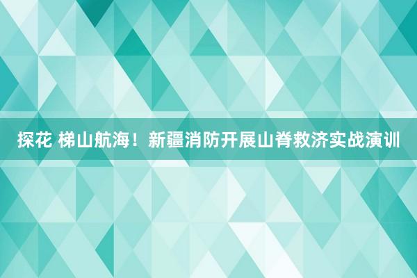 探花 梯山航海！新疆消防开展山脊救济实战演训