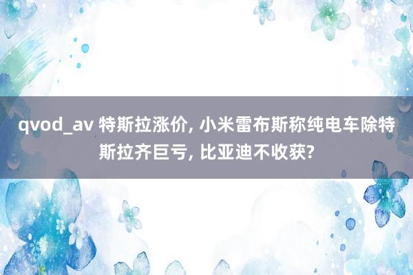 qvod_av 特斯拉涨价， 小米雷布斯称纯电车除特斯拉齐巨亏， 比亚迪不收获?