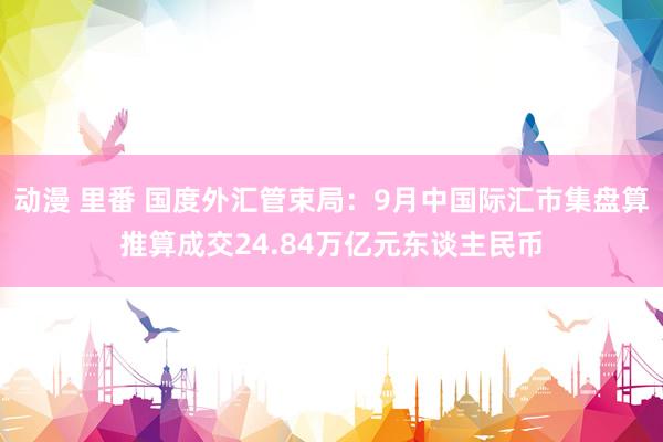 动漫 里番 国度外汇管束局：9月中国际汇市集盘算推算成交24.84万亿元东谈主民币