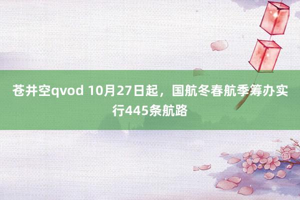 苍井空qvod 10月27日起，国航冬春航季筹办实行445条航路