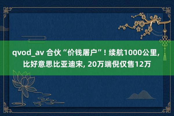 qvod_av 合伙“价钱屠户”! 续航1000公里， 比好意思比亚迪宋， 20万端倪仅售12万