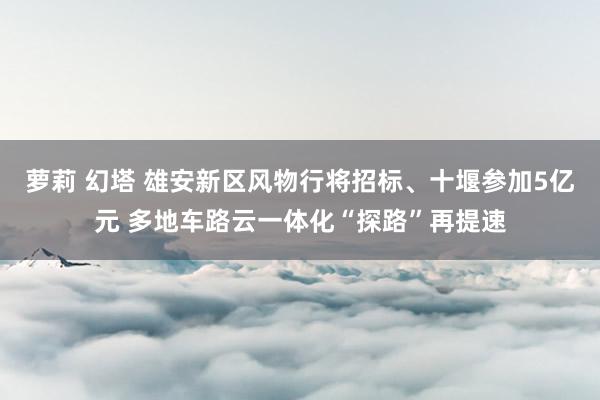 萝莉 幻塔 雄安新区风物行将招标、十堰参加5亿元 多地车路云一体化“探路”再提速