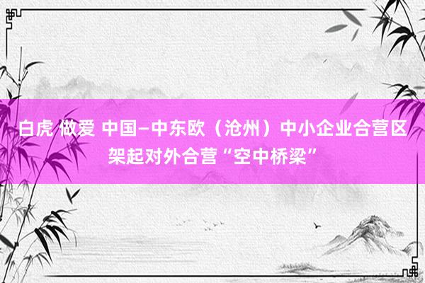 白虎 做爱 中国—中东欧（沧州）中小企业合营区架起对外合营“空中桥梁”