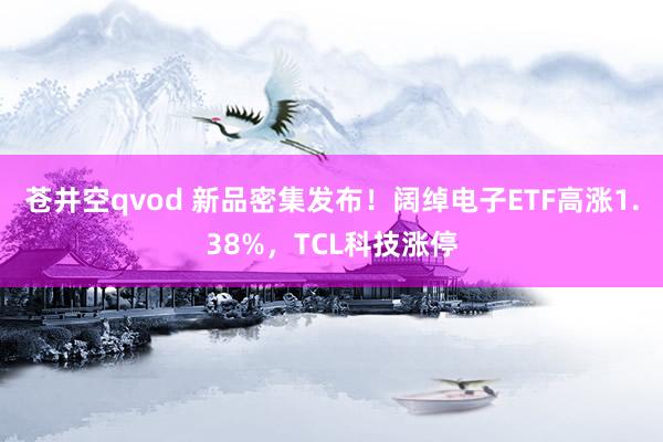 苍井空qvod 新品密集发布！阔绰电子ETF高涨1.38%，TCL科技涨停