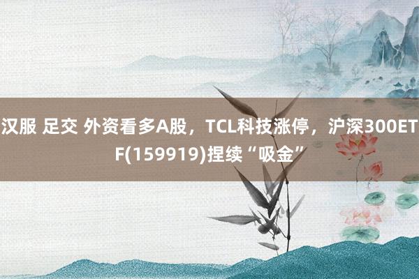 汉服 足交 外资看多A股，TCL科技涨停，沪深300ETF(159919)捏续“吸金”