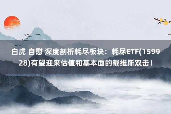 白虎 自慰 深度剖析耗尽板块：耗尽ETF(159928)有望迎来估值和基本面的戴维斯双击！