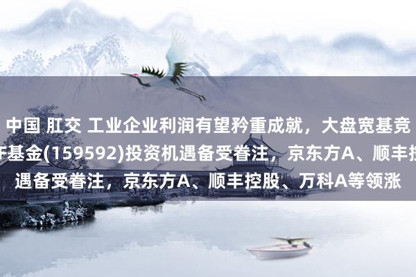 中国 肛交 工业企业利润有望矜重成就，大盘宽基竞争力仍在，A50ETF基金(159592)投资机遇备受眷注，京东方A、顺丰控股、万科A等领涨