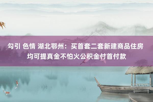 勾引 色情 湖北鄂州：买首套二套新建商品住房 均可提真金不怕火公积金付首付款