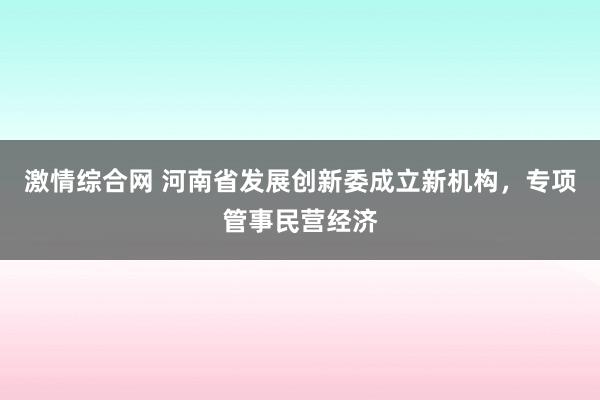 激情综合网 河南省发展创新委成立新机构，专项管事民营经济