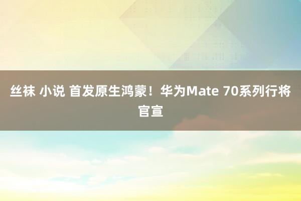 丝袜 小说 首发原生鸿蒙！华为Mate 70系列行将官宣