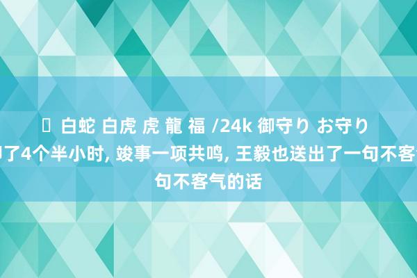 ✨白蛇 白虎 虎 龍 福 /24k 御守り お守り 中日聊了4个半小时， 竣事一项共鸣， 王毅也送出了一句不客气的话