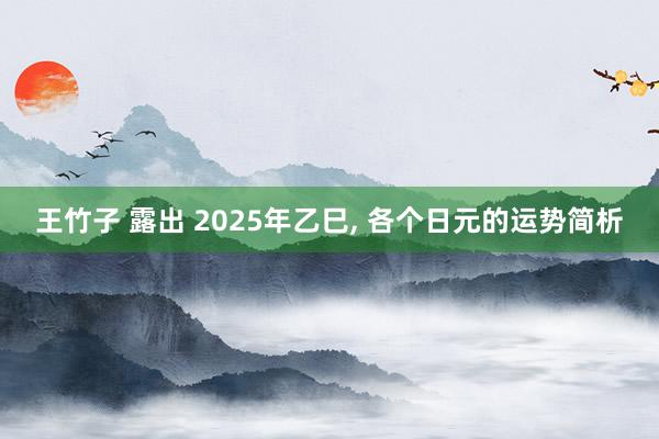 王竹子 露出 2025年乙巳， 各个日元的运势简析