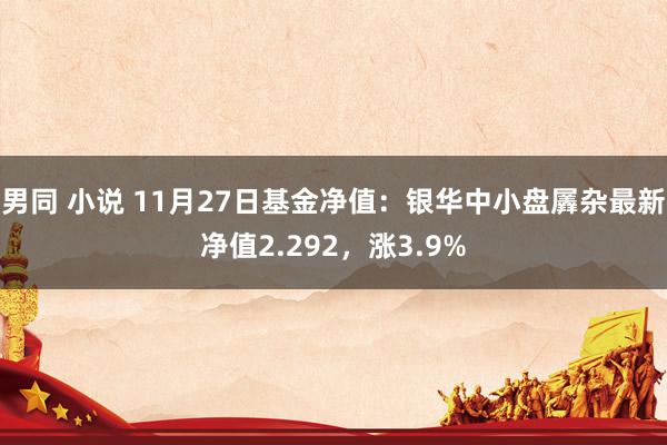 男同 小说 11月27日基金净值：银华中小盘羼杂最新净值2.292，涨3.9%