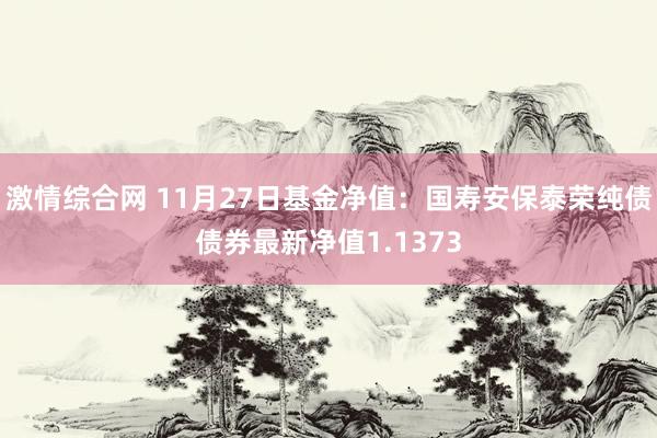 激情综合网 11月27日基金净值：国寿安保泰荣纯债债券最新净值1.1373