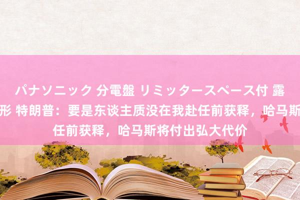 パナソニック 分電盤 リミッタースペース付 露出・半埋込両用形 特朗普：要是东谈主质没在我赴任前获释，哈马斯将付出弘大代价