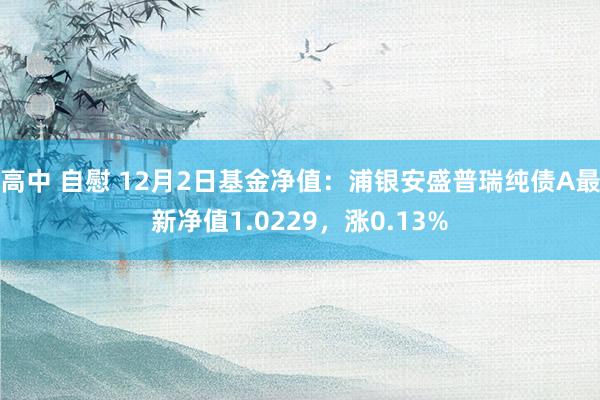 高中 自慰 12月2日基金净值：浦银安盛普瑞纯债A最新净值1.0229，涨0.13%